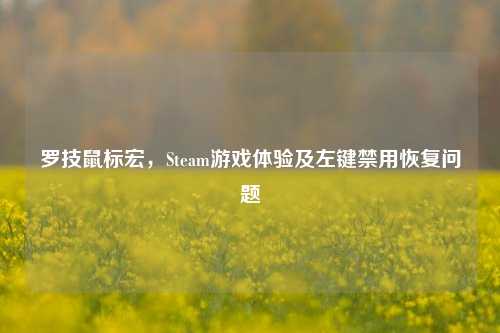罗技鼠标宏，Steam游戏体验及左键禁用恢复问题