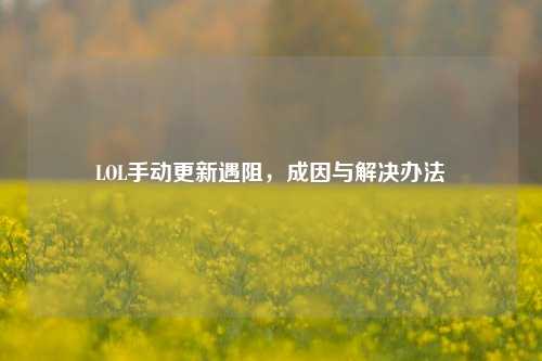 LOL手动更新遇阻,成因与解决办法