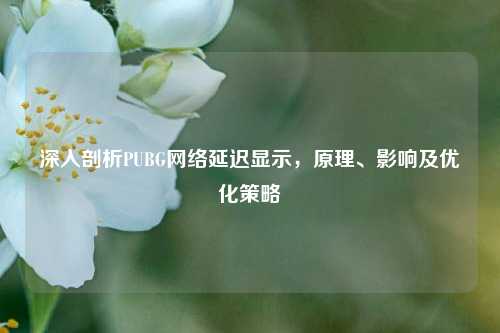 深入剖析PUBG *** 延迟显示,原理、影响及优化策略