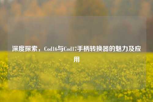 深度探索,Cod16与Cod17手柄转换器的魅力及应用