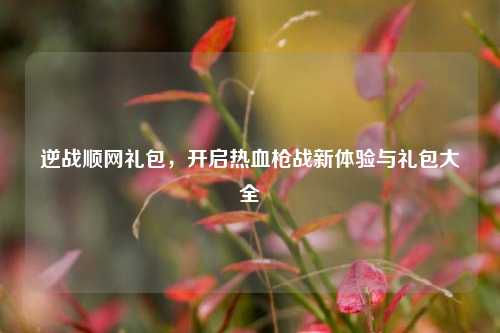 逆战顺网礼包,开启热血枪战新体验与礼包大全