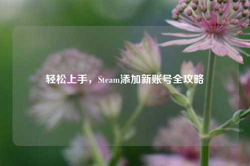 轻松上手,Steam添加新账号全攻略