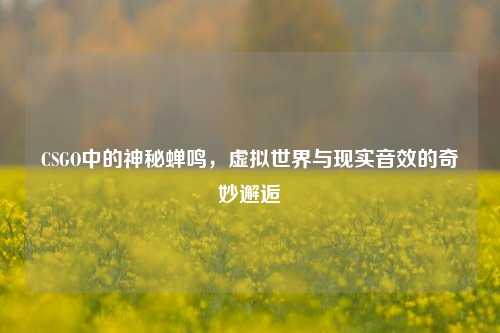 CSGO中的神秘蝉鸣,虚拟世界与现实音效的奇妙邂逅
