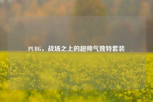 PUBG,战场之上的超帅气独特套装