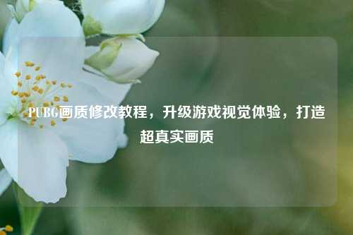 PUBG画质修改教程,升级游戏视觉体验,打造超真实画质