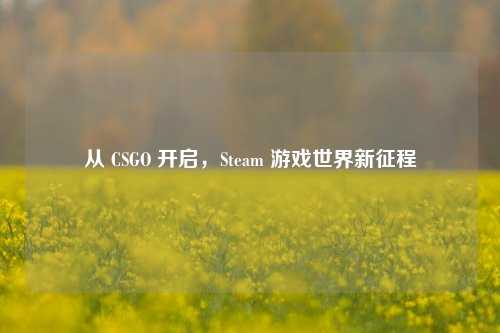 从 CSGO 开启,Steam 游戏世界新征程