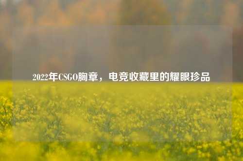 2022年CSGO胸章,电竞收藏里的耀眼珍品