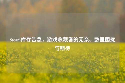 Steam库存告急,游戏收藏者的无奈、数量困扰与期待