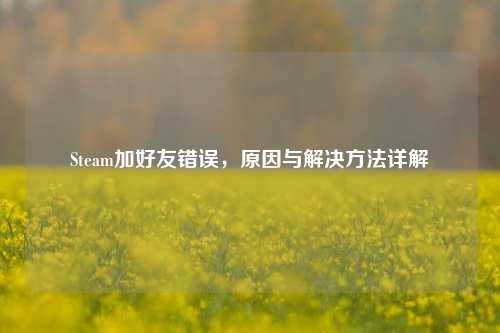 Steam加好友错误,原因与解决 *** 详解