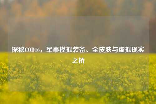 探秘COD16,军事模拟装备、全皮肤与虚拟现实之桥