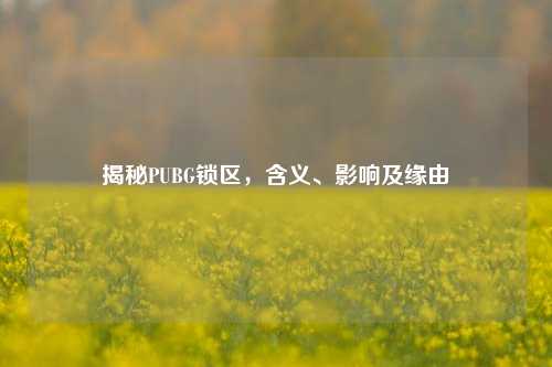 揭秘PUBG锁区,含义、影响及缘由