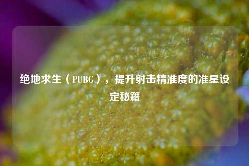 绝地求生(PUBG),提升射击精准度的准星设定秘籍