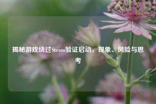 揭秘游戏绕过Steam验证启动,现象、风险与思考