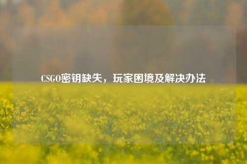 CSGO密钥缺失,玩家困境及解决办法