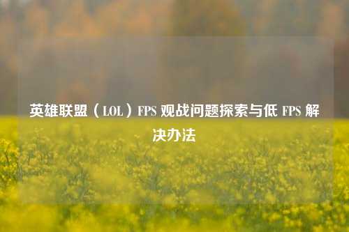 英雄联盟(LOL)FPS 观战问题探索与低 FPS 解决办法