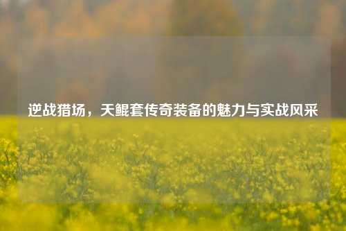 逆战猎场,天鲲套传奇装备的魅力与实战风采