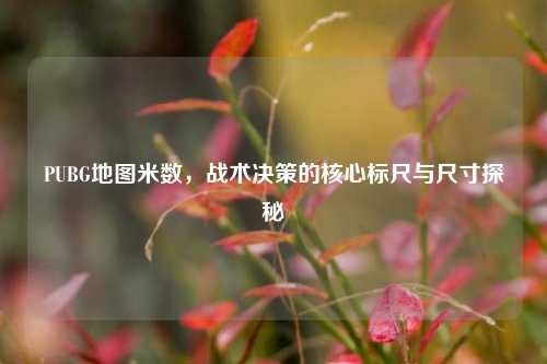 PUBG地图米数,战术决策的核心标尺与尺寸探秘
