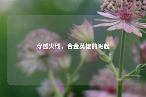 穿越火线,合金英雄的崛起