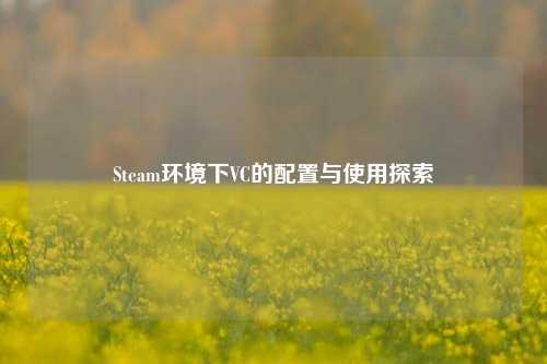 Steam环境下VC的配置与使用探索