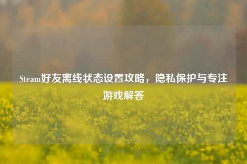 Steam好友离线状态设置攻略,隐私保护与专注游戏解答