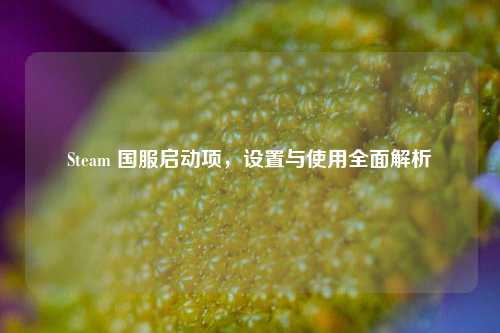 Steam 国服启动项,设置与使用全面解析