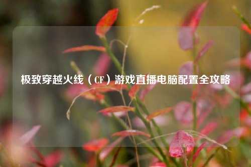极致穿越火线(CF)游戏直播电脑配置全攻略