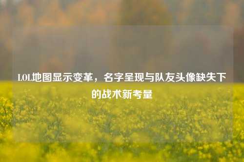 LOL地图显示变革,名字呈现与队友头像缺失下的战术新考量