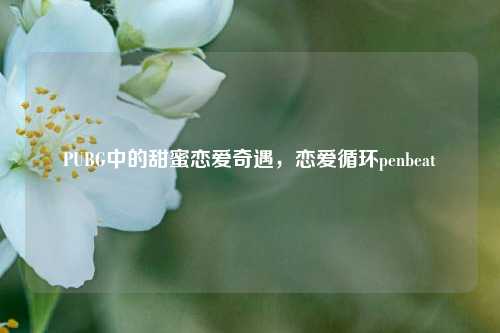 PUBG中的甜蜜恋爱奇遇,恋爱循环penbeat