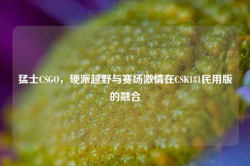猛士CSGO,硬派越野与赛场***在CSK181民用版的融合
