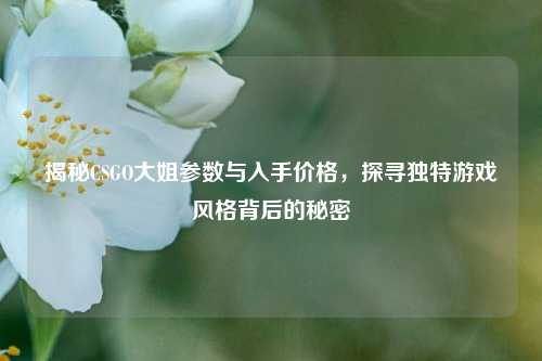 揭秘CSGO大姐参数与入手价格,探寻独特游戏风格背后的秘密