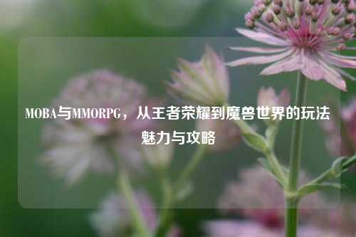 MOBA与MMORPG,从王者荣耀到魔兽世界的玩法魅力与攻略