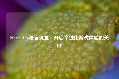 Steam App语言设置,开启个性化游戏体验的关键