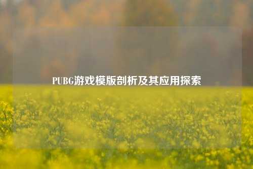 PUBG游戏模版剖析及其应用探索