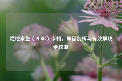 绝地求生(PUBG)卡顿,原因剖析与有效解决全攻略