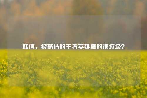 韩信,被高估的王者英雄真的很垃圾?