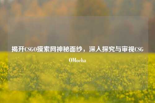 揭开CSGO摸索网神秘面纱,深入探究与审视CSGOMocha