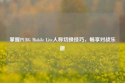 掌握PUBG Mobile Lite人称切换技巧,畅享对战乐趣