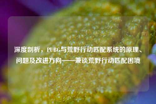 深度剖析,PUBG与荒野行动匹配系统的原理、问题及改进方向——兼谈荒野行动匹配困境