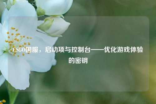 CSGO国服,启动项与控制台——优化游戏体验的密钥