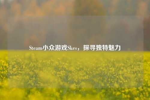 Steam小众游戏Skes,探寻独特魅力