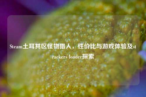 Steam土耳其区怪物猎人,性价比与游戏体验及strackers loader探索