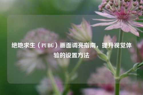 绝地求生(PUBG)画面调亮指南,提升视觉体验的设置 ***