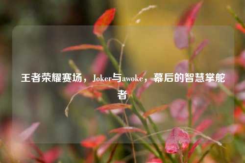 王者荣耀赛场,Joker与awoke,幕后的智慧掌舵者