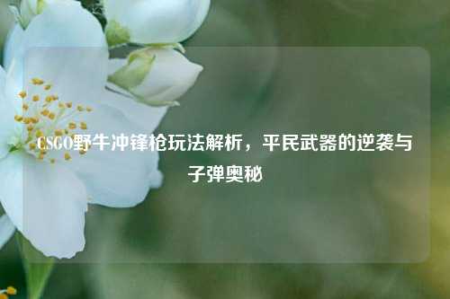 CSGO野牛冲锋枪玩法解析,平民武器的逆袭与子弹奥秘