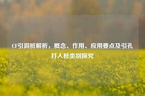 CF引洞桩解析,概念、作用、应用要点及引孔打入桩类别探究