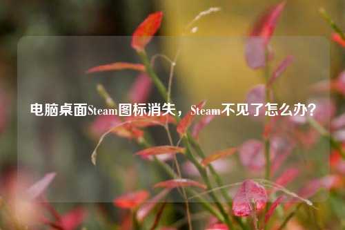 电脑桌面Steam图标消失,Steam不见了怎么办?