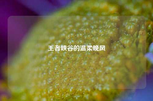 王者峡谷的温柔晚风
