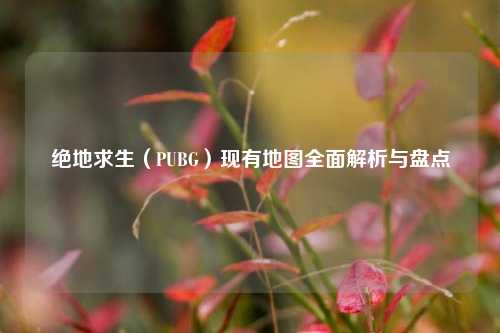 绝地求生(PUBG)现有地图全面解析与盘点