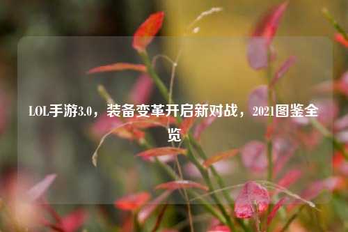 LOL手游3.0,装备变革开启新对战,2021图鉴全览