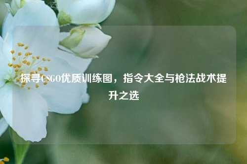 探寻CSGO优质训练图,指令大全与枪法战术提升之选
